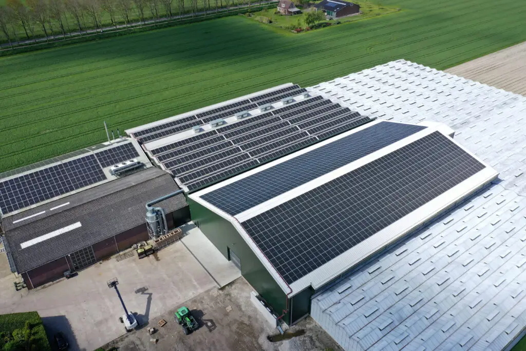 Agricultural solar power systems, Farms with modern solar panels by NexaVolt Energy